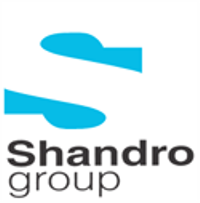 The Shandro Group